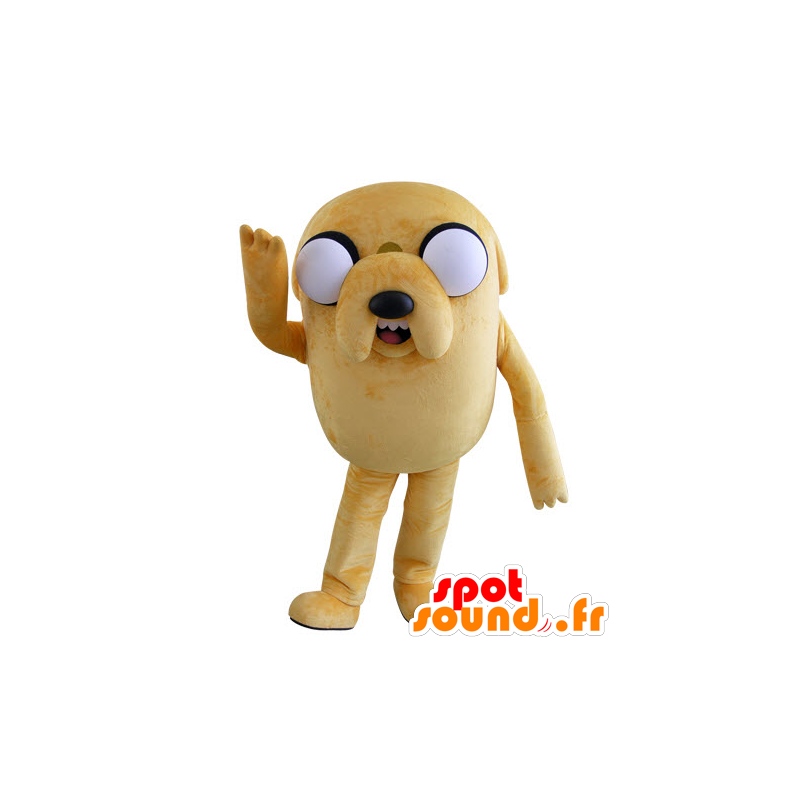 Stor gul hundemaskot ser grim ud med store øjne - Spotsound