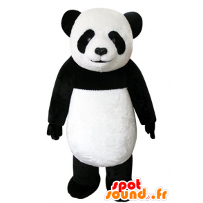 La mascota de la panda negro y blanco, hermoso y realista - MASFR031553 - Mascota de los pandas