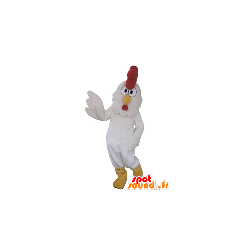 Gallo de la mascota, el gigante de gallina blanca - MASFR031650 - Mascota de gallinas pollo gallo