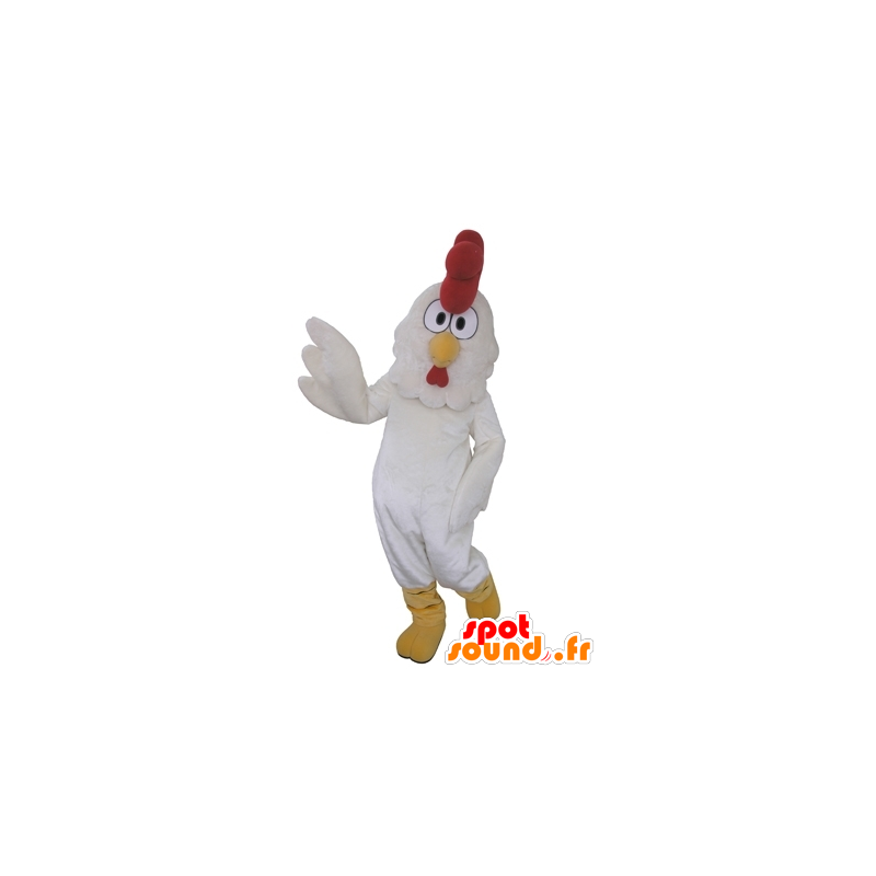 Rooster mascot, giant white hen - MASFR031650 - Mascot of hens - chickens - roaster