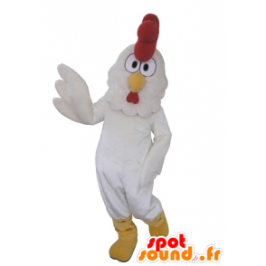 Rooster mascot, giant white hen - MASFR031650 - Mascot of hens - chickens - roaster