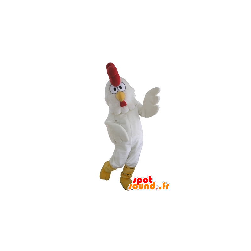 Gallo de la mascota, el gigante de gallina blanca - MASFR031652 - Mascota de gallinas pollo gallo