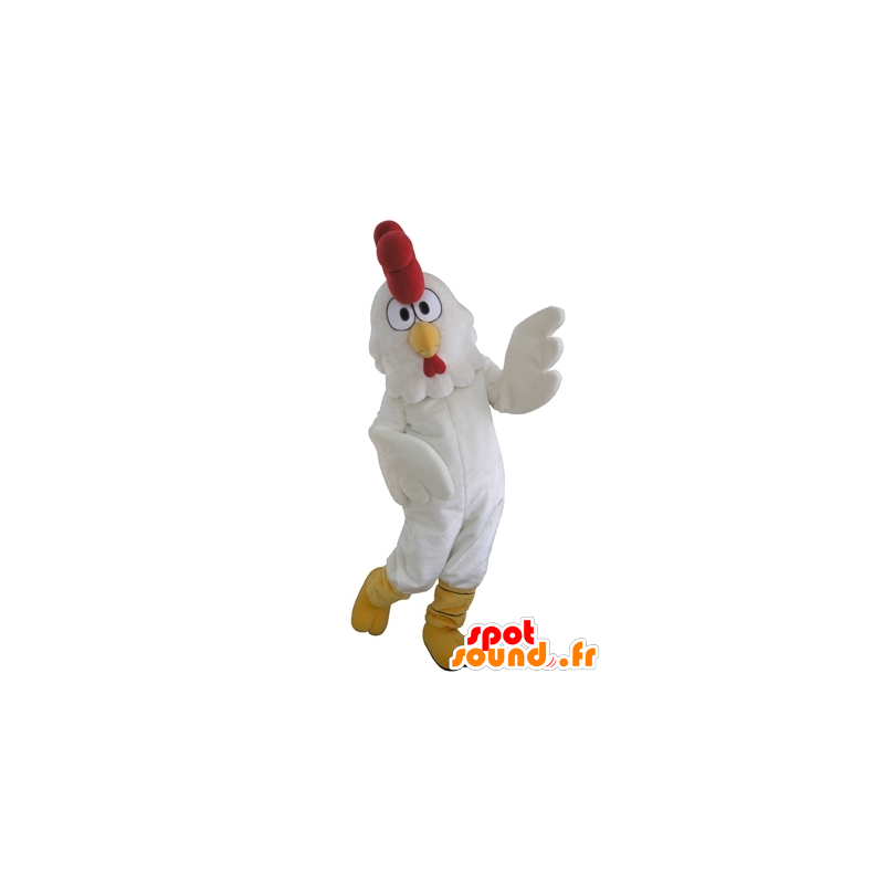 Rooster mascot, giant white hen - MASFR031652 - Mascot of hens - chickens - roaster
