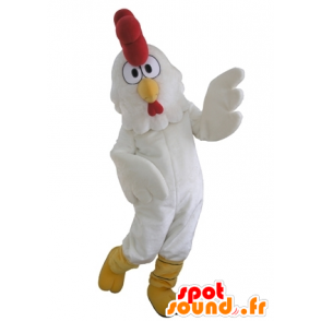 Gallo mascotte, gigante gallina bianca - MASFR031652 - Mascotte di galline pollo gallo