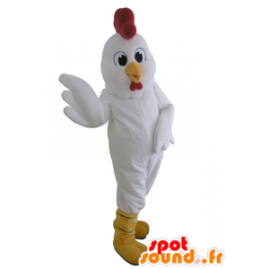 Mascot gigante gallina bianca. gallo mascotte - MASFR031655 - Mascotte di galline pollo gallo