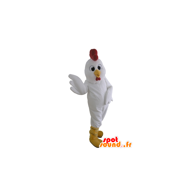 Mascot gigante gallina bianca. gallo mascotte - MASFR031655 - Mascotte di galline pollo gallo