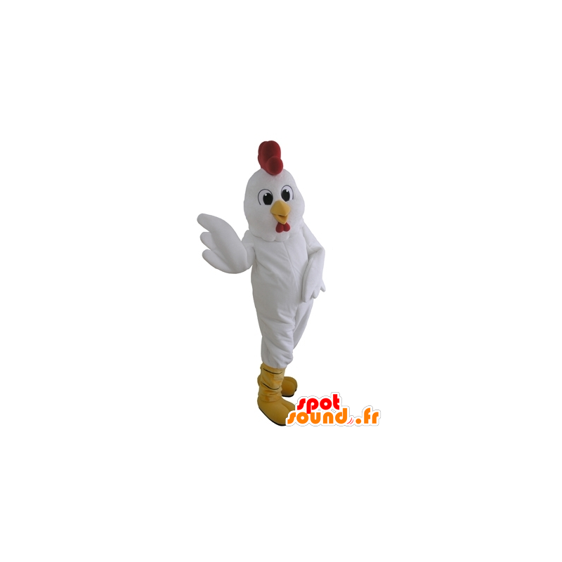Mascot gigante gallina blanca. mascota del gallo - MASFR031655 - Mascota de gallinas pollo gallo