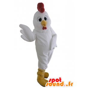 MASCOT obří bílé slepice. kohout maskot - MASFR031655 - Maskot Slepice - Roosters - Chickens