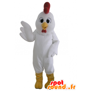 Mascot gigante gallina bianca. gallo mascotte - MASFR031666 - Mascotte di galline pollo gallo