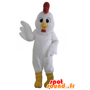 Mascot gigante gallina blanca. mascota del gallo - MASFR031666 - Mascota de gallinas pollo gallo