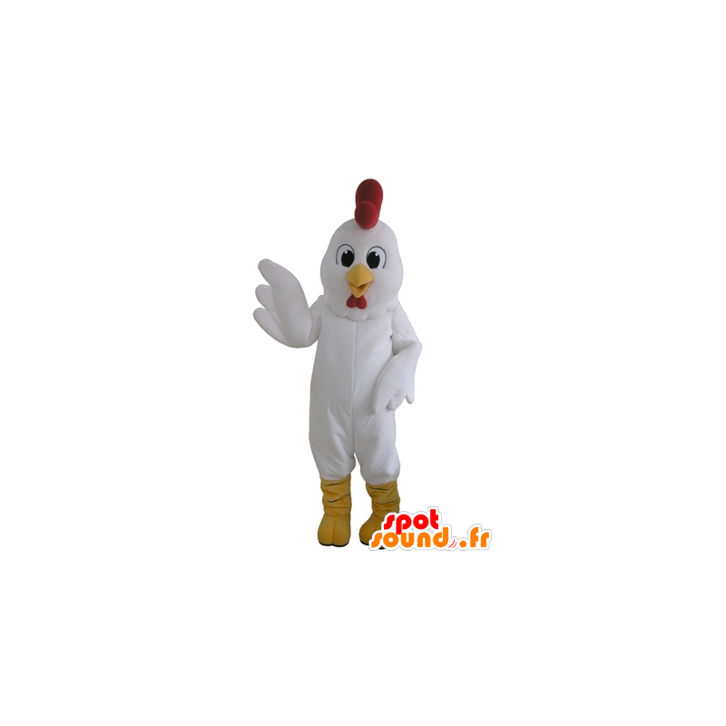 Mascot gigante gallina bianca. gallo mascotte - MASFR031666 - Mascotte di galline pollo gallo