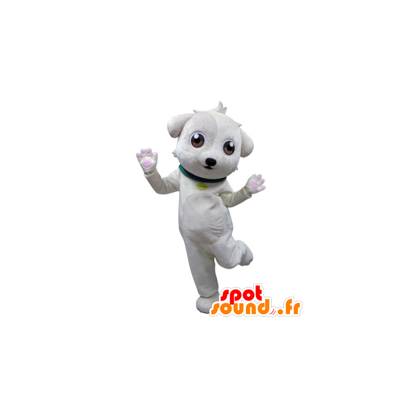 Mascotte de chien blanc avec un collier vert - MASFR031683 - Mascottes de chien