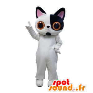 Mascotte de chat blanc et noir avec de grands yeux - MASFR031684 - Mascottes de chat