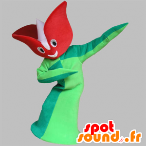 Mascot tulip, red and green flower, giant - MASFR031766 - Mascots of plants