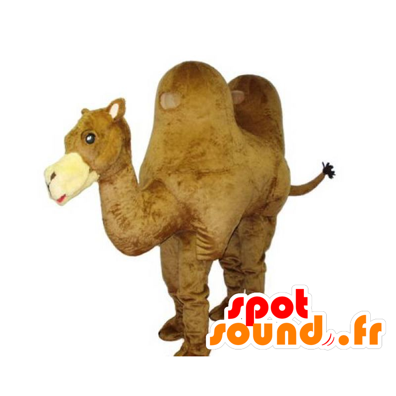 Camel mascot, giant, beautiful and realistic - MASFR031771 - Animal mascots