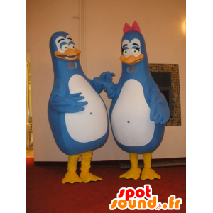 2 mascotes penguins azuis e brancos. Mascotes casal - MASFR031773 - pinguim mascote