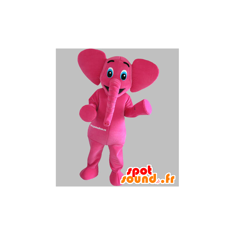 Mascot pink elephant with blue eyes - MASFR031792 - Elephant mascots