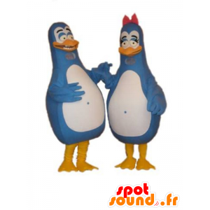 2 mascottes de pingouins bleus et blancs. Mascottes de couple - MASFR031802 - Mascottes Pingouin