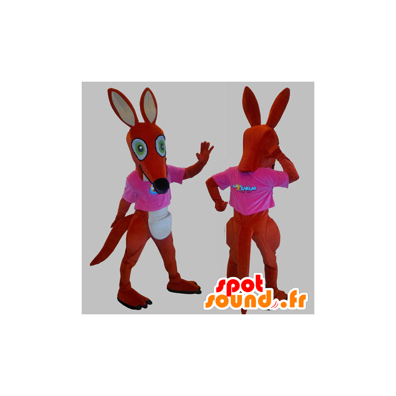 Rød og hvid kænguru-maskot med en lyserød t-shirt - Spotsound