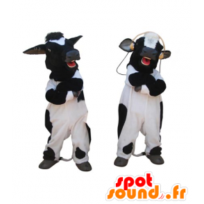 2 mascottes van zwarte en witte koeien, reuze - MASFR031834 - koe Mascottes
