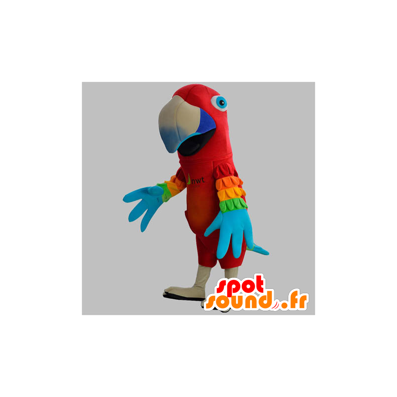 Mascota loro rojo con alas de colores - MASFR031878 - Mascotas de loros