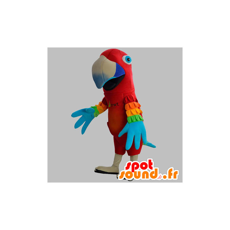 Mascotte pappagallo rosso con le ali colorate - MASFR031878 - Mascotte di pappagalli