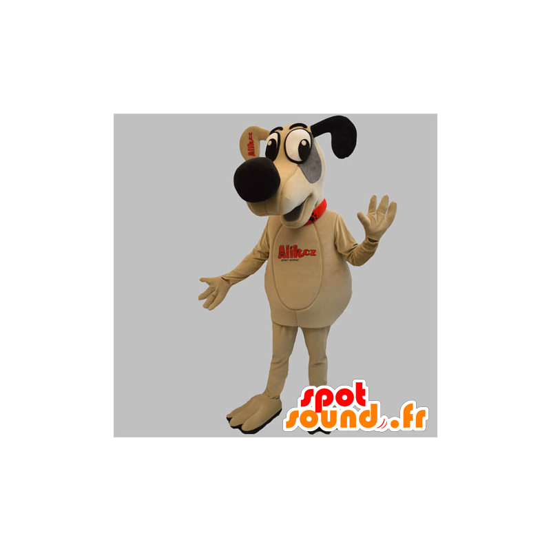 Doggie mascot, dog beige, gray and black - MASFR031884 - Dog mascots