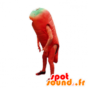 Orange gulerodsmaskot, kæmpe. Vegetabilsk maskot - Spotsound