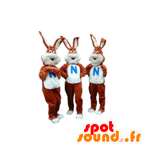 3 mascotes coelhos brancos e castanhos. Conjunto de 3 mascotes - MASFR031931 - coelhos mascote