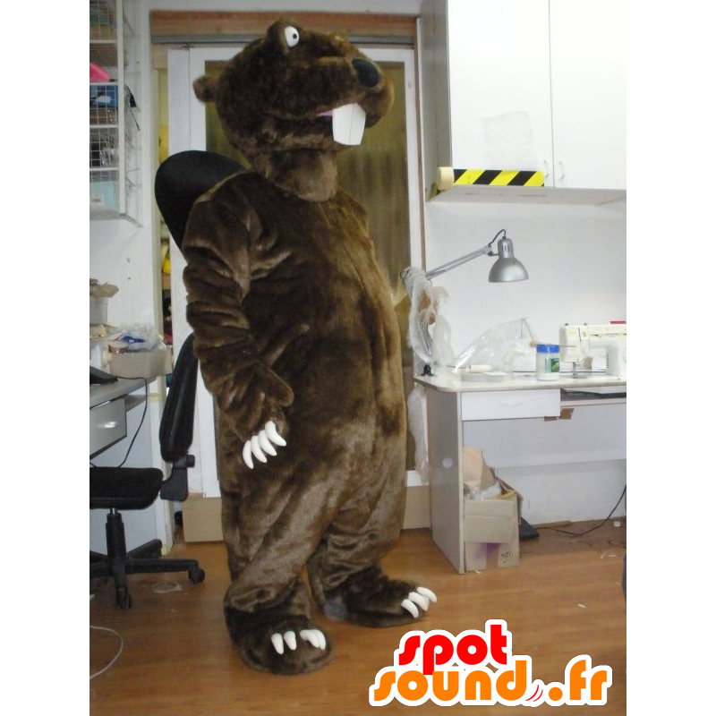 Mascot castanho e preto castor, gigante - MASFR031945 - Beaver Mascot