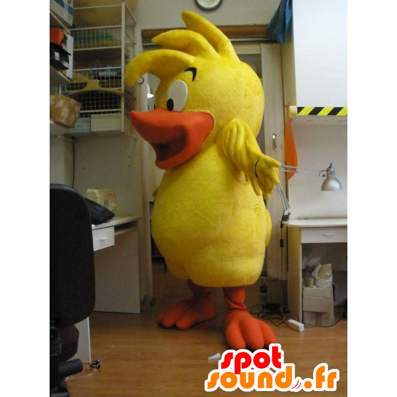 Chick anatra mascotte, giallo e arancione bambino uccello - MASFR031962 - Mascotte di anatre