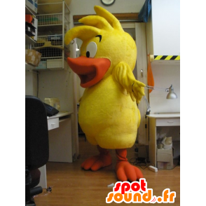 Chick anatra mascotte, giallo e arancione bambino uccello - MASFR031962 - Mascotte di anatre