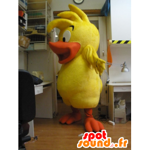 Pintainho Mascot, pato, pássaro amarelo e laranja bebê - MASFR031962 - patos mascote
