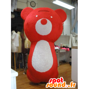 Large red and white teddy mascot - MASFR031971 - Bear mascot
