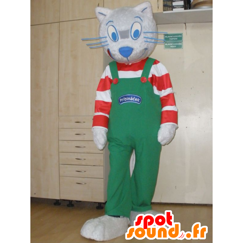 Gris traje de la mascota del gato con un mono de rayas y - MASFR031984 - Mascotas gato