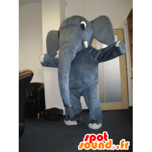 Mascotte d'éléphant gris, très mignon - MASFR032034 - Mascottes Elephant