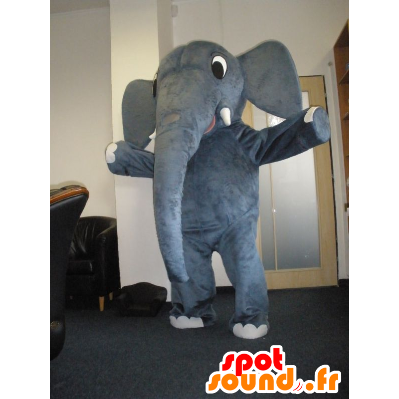 Maskottchen Elefant grau, sehr nett - MASFR032034 - Elefant-Maskottchen