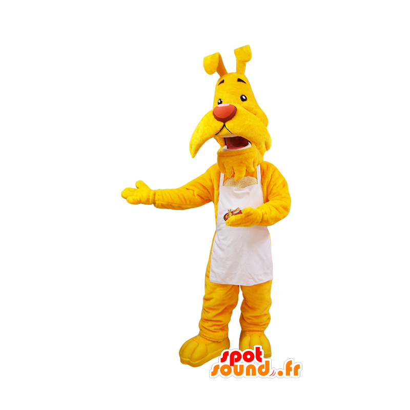 La mascota del bigote, perro amarillo vestido con un delantal blanco - MASFR032045 - Mascotas perro