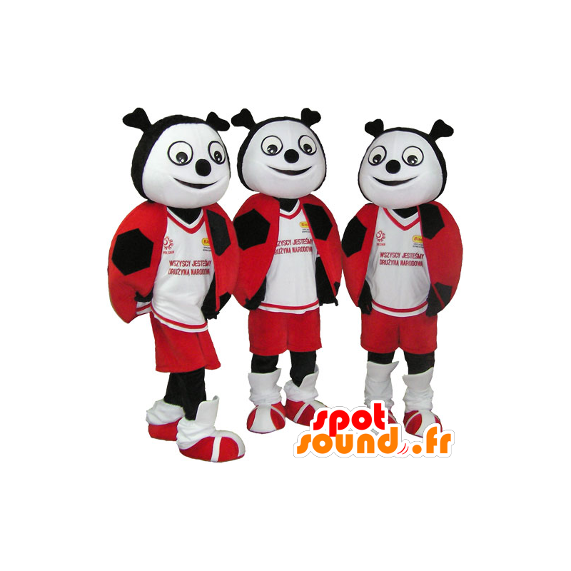 3 mascotes joaninhas vermelho, preto e branco - MASFR032101 - mascotes Insect