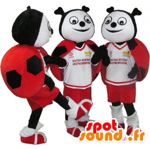 3 mascots red ladybugs, black and white - MASFR032101 - Mascots insect