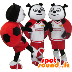 3 mascottes de coccinelles rouges, noires et blanches - MASFR032101 - Mascottes Insecte