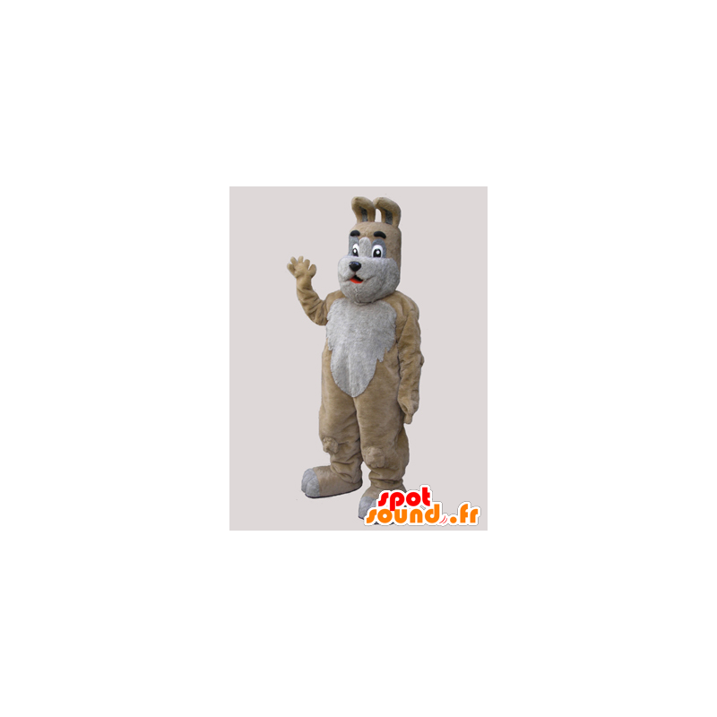 Mascotte beige e grigio cane, dolce e carino - MASFR032131 - Mascotte cane