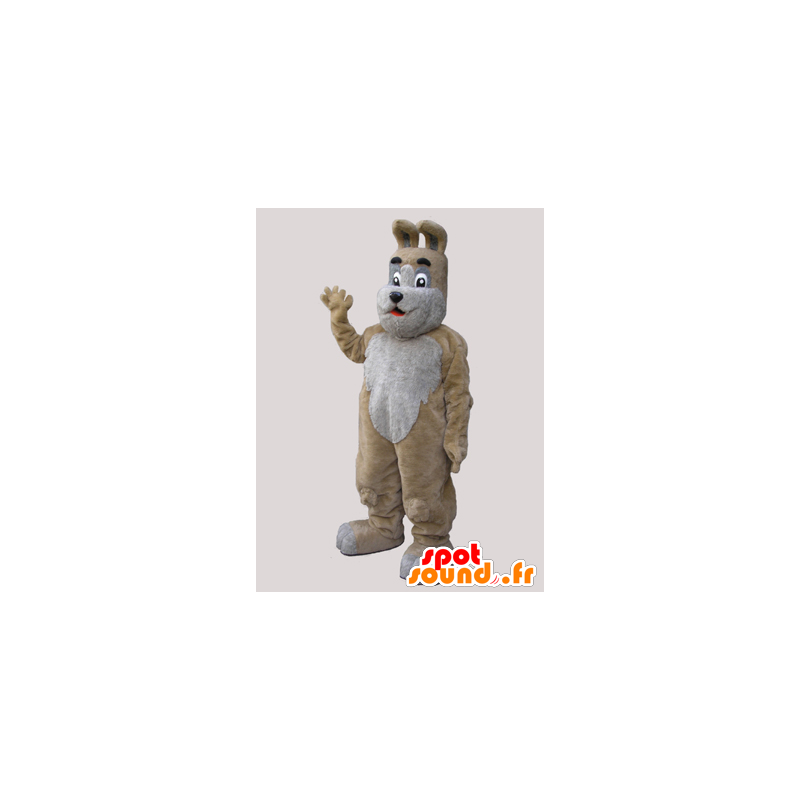 Mascotte de chien beige et gris, doux et mignon - MASFR032131 - Mascottes de chien