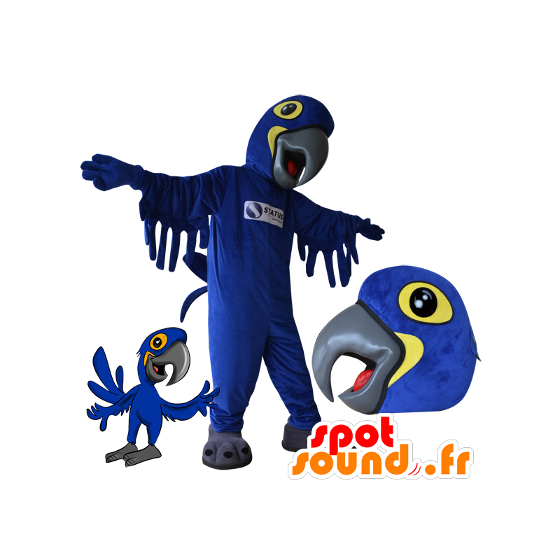 Mascot blue and yellow parrot. Bird mascot - MASFR032172 - Mascots of parrots