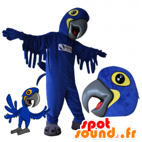 Blå och gul papegojamaskot. Fågelmaskot - Spotsound maskot