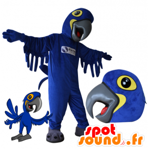 Mascotte de perroquet bleu et jaune. Mascotte d'oiseau - MASFR032172 - Mascottes de perroquets