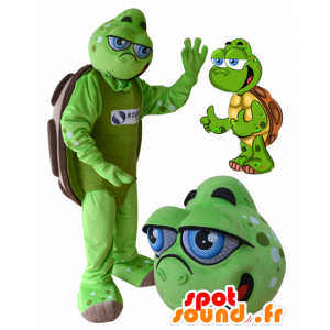 Mascotte tartaruga verde e marrone con gli occhi azzurri - MASFR032175 - Tartaruga mascotte