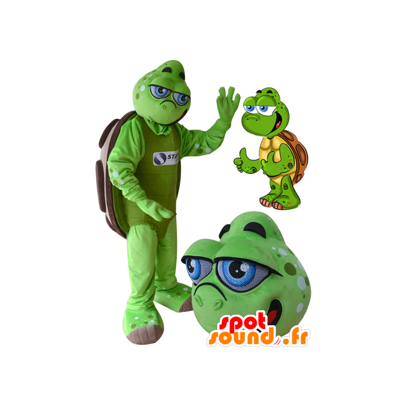 Grøn og brun skildpaddemaskot med blå øjne - Spotsound maskot