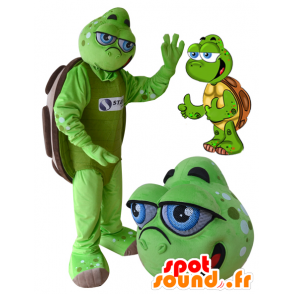 Mascotte de tortue verte et marron aux yeux bleus - MASFR032175 - Mascottes Tortue