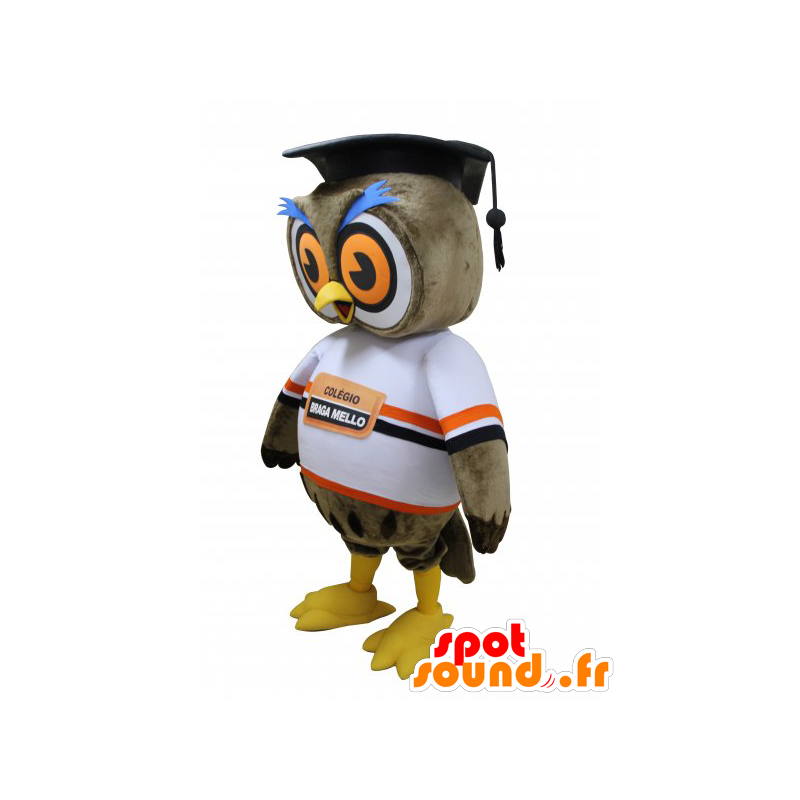 Brown Owl Mascot with a toque of new graduate - MASFR032212 - Mascot of birds